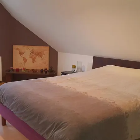 Adossee A La Colline Willer-sur-Thur